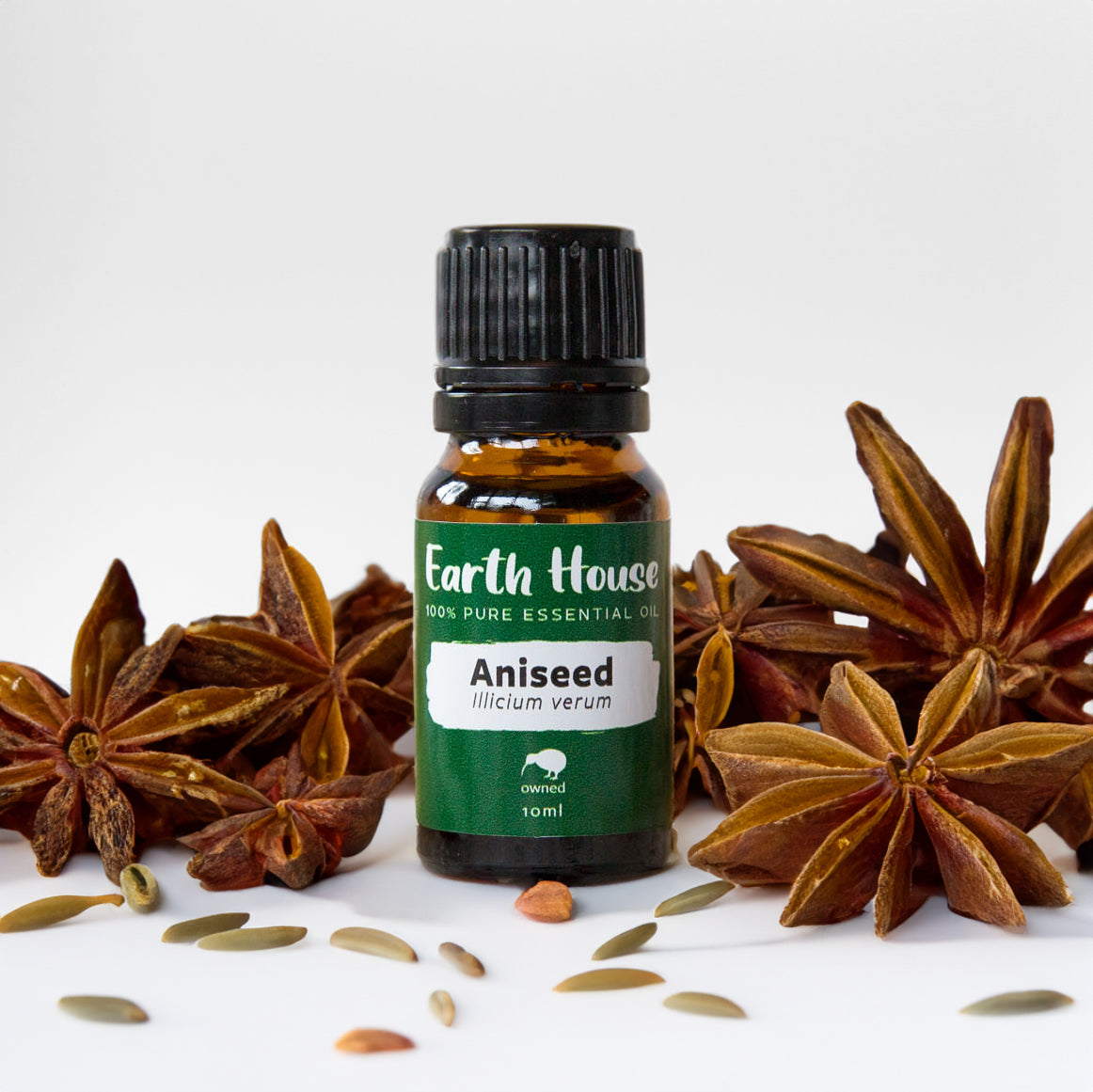 Aniseed