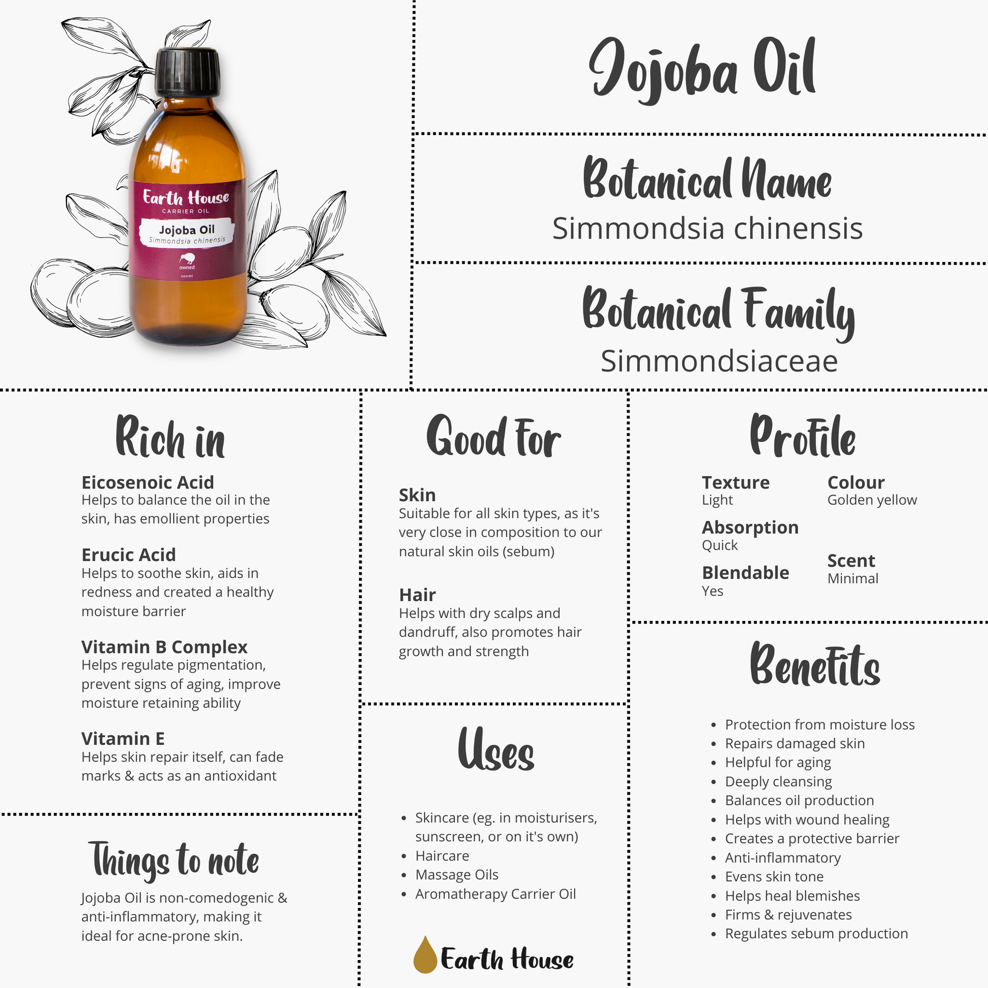 Infographic outlining the potential benefits of Jojoba Carrier Oil - Earth House NZ