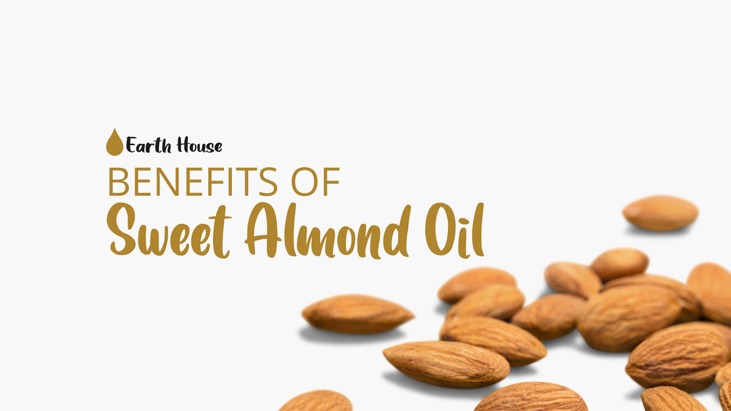Sweet Almond Oil Uses & Benefits Earth House