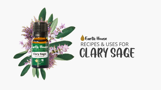 Clary Sage - Uses & Recipes