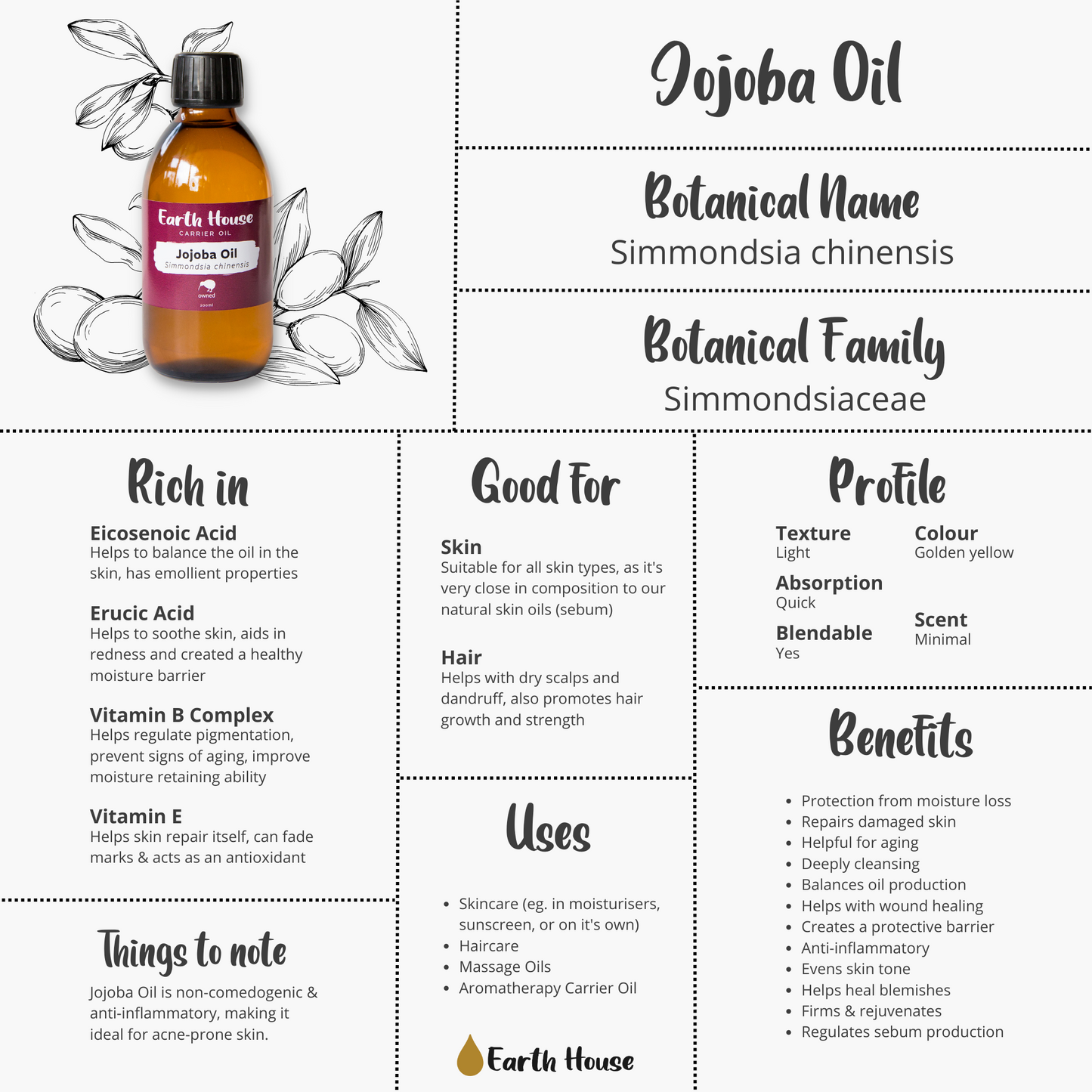 Infographic outlining the potential benefits of Jojoba Carrier Oil - Earth House NZ